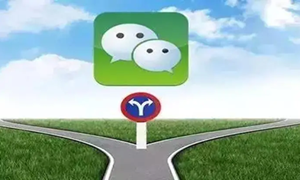 微信头像图片2024年