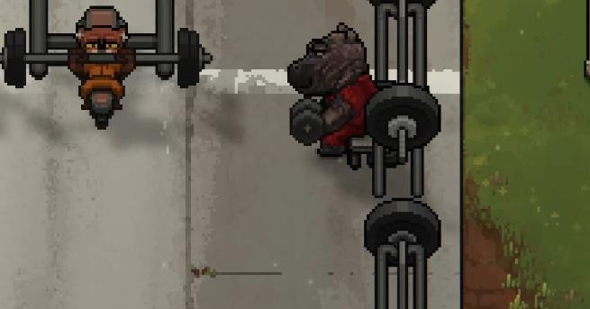 动物迷城鳄鱼怎么打