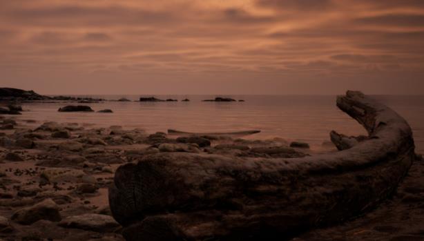 虚幻恐怖游戏 My Pretty Closet页面上线Steam