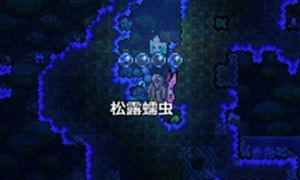 泰拉瑞亚松露虫的抓取技巧