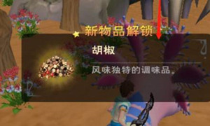 创造与魔法胡椒分布位置介绍