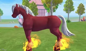 创造与魔法红马饲料制作方法及保底数量介绍