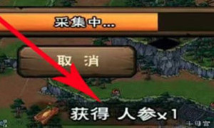 烟雨江湖人参采集地点方式介绍